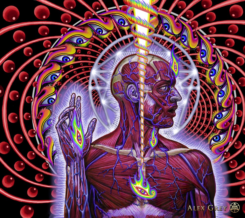 alex grey eye of spirit meaning