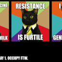May Day Cat Poster2