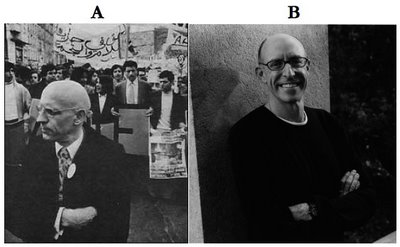 Michael Pollan or Michel Foucault- 10AB